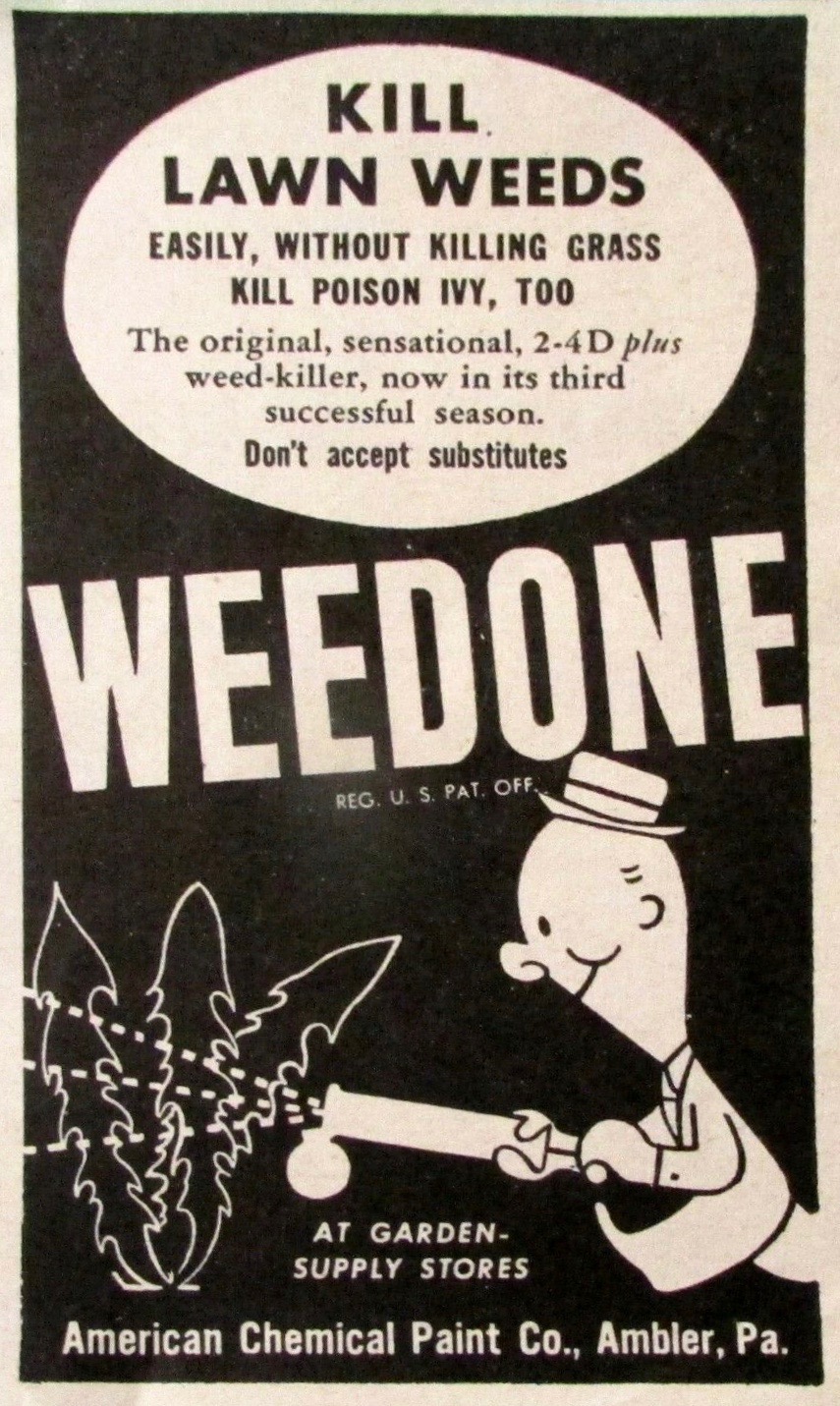 Advertisement for Weedone circa 1946